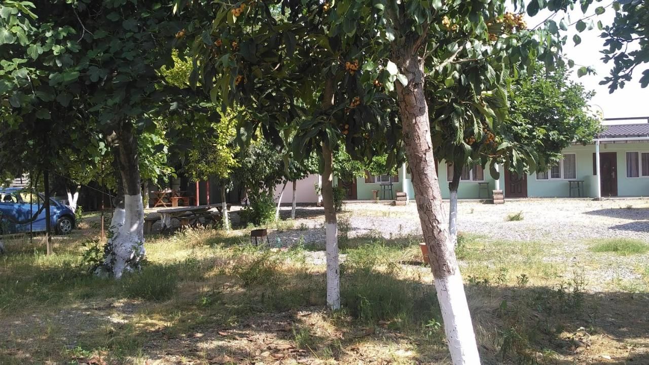 Мини-отель Villarona Mini hotel Пицунда-33