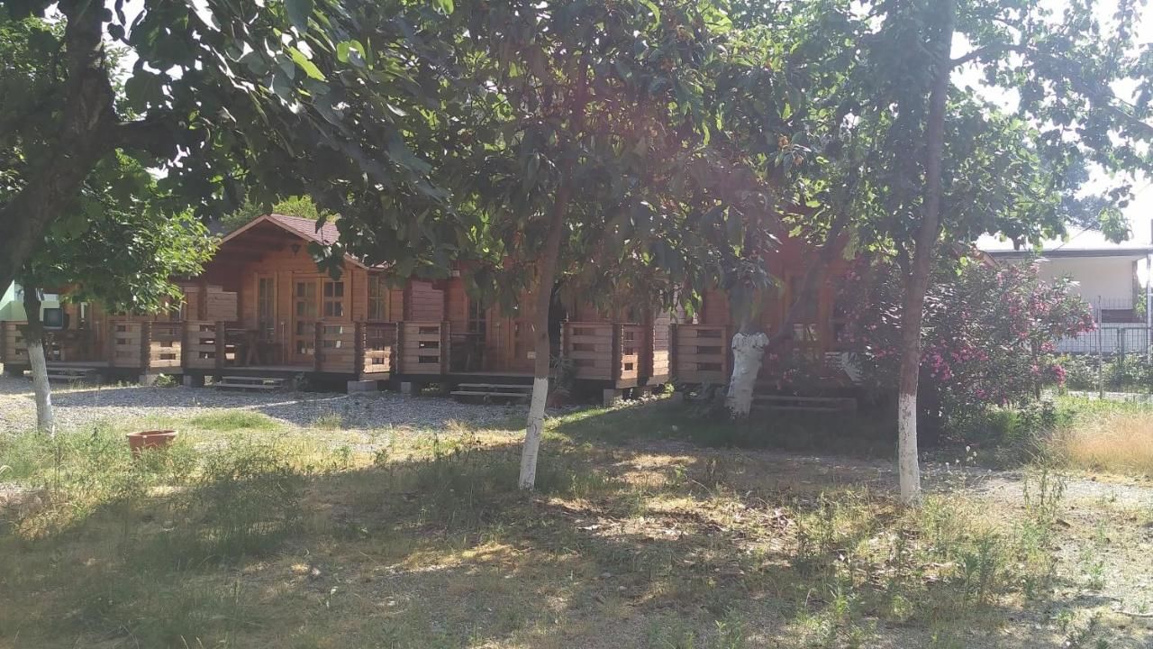 Мини-отель Villarona Mini hotel Пицунда-35
