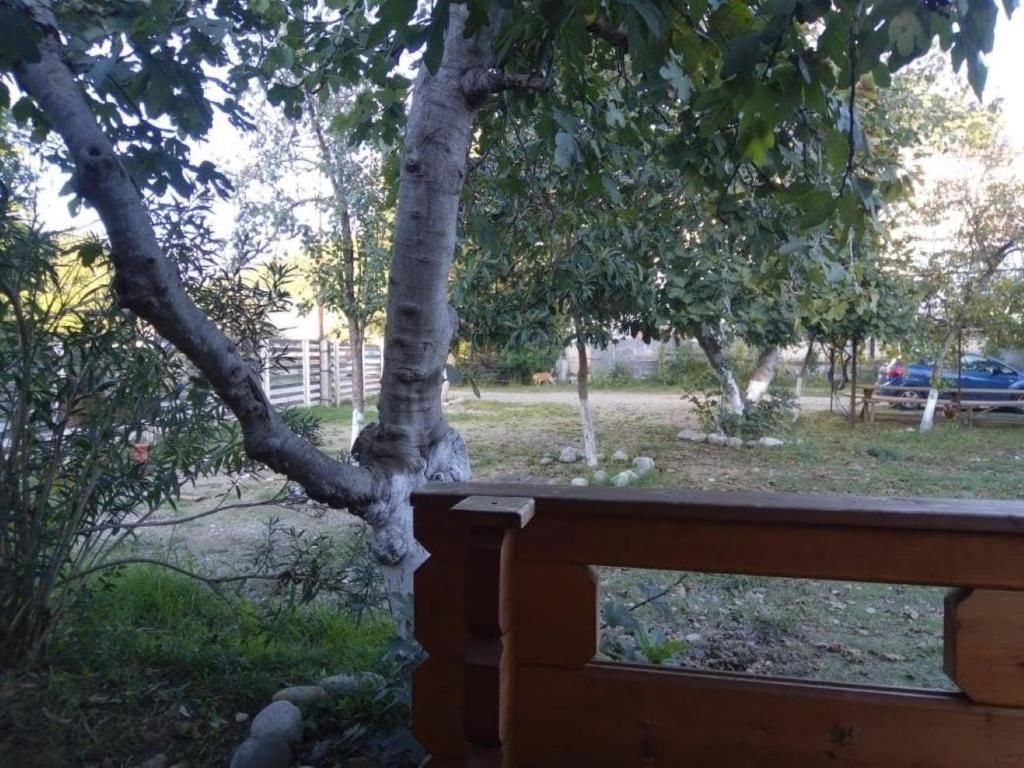 Мини-отель Villarona Mini hotel Пицунда-67